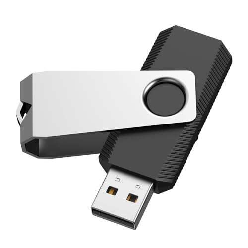 RAOYI 32GB USB 2.0 Flash Drive Swivel Metal Memory Stick Thumb Drive for Data Storage (Black)