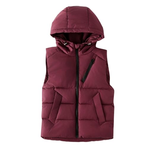 Kids Zip up Hooded down Vest Lightweight Warm Sleeveless Quilted Puffer Jackets Boys Girls Soft Warm down Outwear