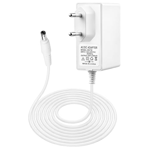 29V 750mA Chargeur Secteur RS-RH5664 pour ROWENTA Aspirateur Air Force 360, 360 Max, 560, 560 Flex, All-in-One 460, X-PERT Essential 260 Replacement Chargeur aspirateur...