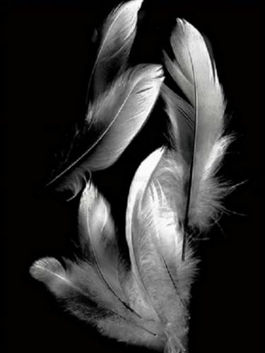 YSCOLOR DIY Diamond Painting Kit, 5D Cross Stitch Diamond Embroidery Art and Craft Kit, White Black Art, 11.8X15.8in/30X40cm