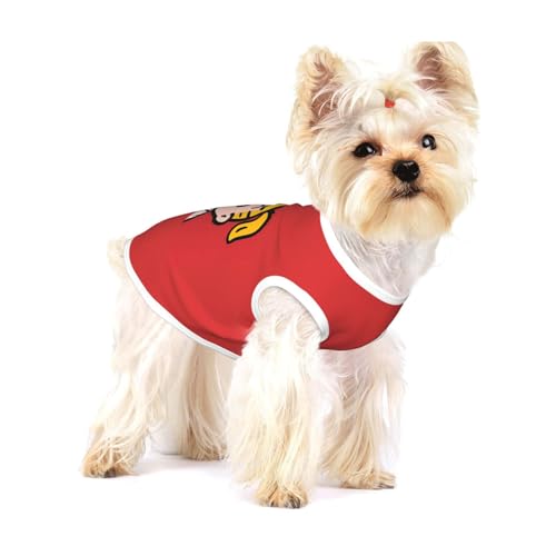 LN^[Y ITObY  ybg TVc hbOEFA t Ȃ L ^Ngbv ybgEFA  m Eѕی Ȑ lC  EȒP ʋC _炩 U o ^ S-L