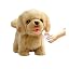 Electric Golden Retriever