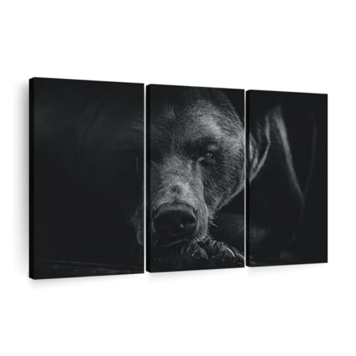 ElephantStock Monochrome Brown Bear Wall Art - Horizontal Canvas - 3-Piece Living...