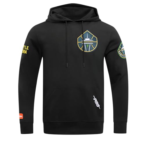 Image of Pro Standard Mens WNBA Classic Chenille Pull Over Hoodie