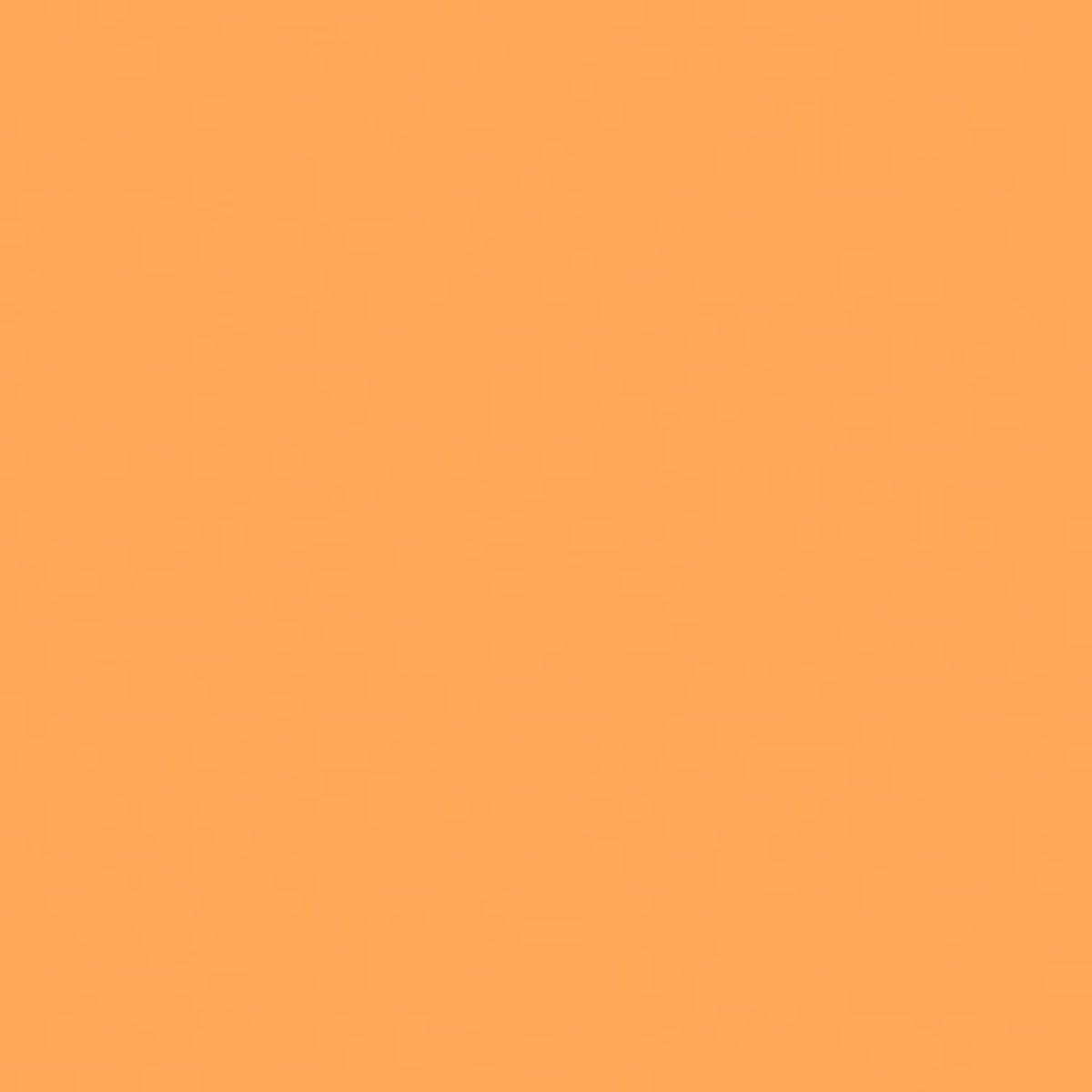 Amazon.com : Rosco Roscolux Light Amber, 20x24