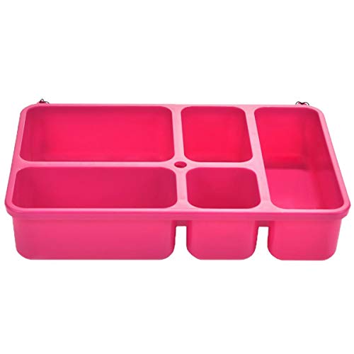 Go Green Lunch Box | Cherry Leakproof Insulated Lunch Box Set For Girls Kids Women| 5 Compartment Bento Leakproof Lunch Box | Insulated Lunch Bag | Beverage Bottle | Gel Ice Pack (Cherries Jubilee) #TOP4