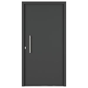 Hori Slim Anthrazit Eingangstür Komplettset 200x100 cm