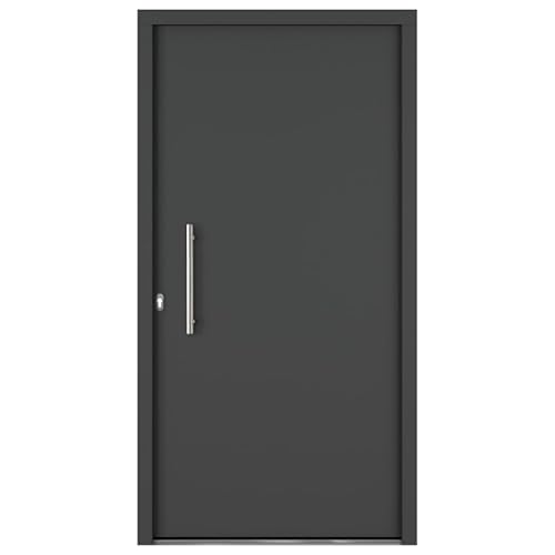 Hori Slim Anthrazit Eingangstür Komplettset 200x100 cm