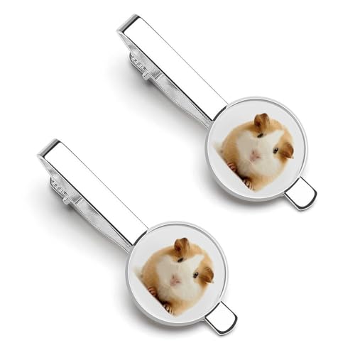 lN^Cs 2{Zbg 킢 bg  ^Cs Y   d rWlX ^Cs   ANZT[ v[g