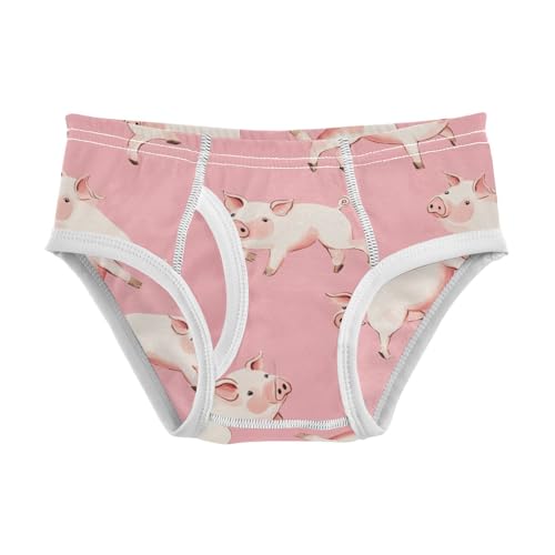 Wusikd Cute Running Pigs Boys' Underwear Cotton Pink Boys Briefs Soft Toddler Underwear 2T