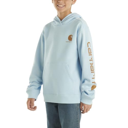 Carhartt boys' long sleeve hooded sweatshirt
