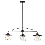 Warehouse of Tiffany HM004/3 Temet Matte Black Linear 3-Lamp Hooded Glass Shades Chandelier