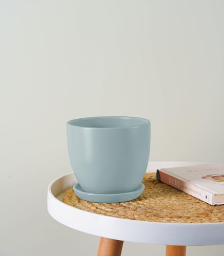 Image of Nurturing Green Modern Design Mint Green Ceramic Pot for Indoor Plants | Ceramic Flower Pot for Home Decor & Gifting (Size: 5 Inch Wide | Comes with Bottom Plate) - [Plants are not Included]