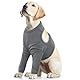 Vorderbein Ärmel für Hunde, Leckschutz Hund Vorderbein Front Leg Recovery Sleeve Hund Vorderbeinschoner Ellenbogenbandage Protector für Hot Spots Wunden Bandagen(Grau, L)