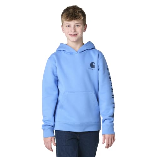 Image of Carhartt Kid's CA6272 Long-Sleeve Graphic Sweatshirt - Boys