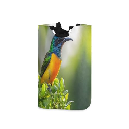 Jihqo Laundry Hamper Basket Beautiful Hummingbird Collapsible Nursery Storage Bin Waterproof Clothing Baskets for Home Bedroom Bathroom Washing Room