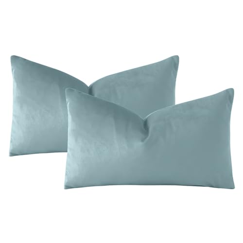 Housses de coussin décoratives velours bleu clair oreiller canapé lit 40x61