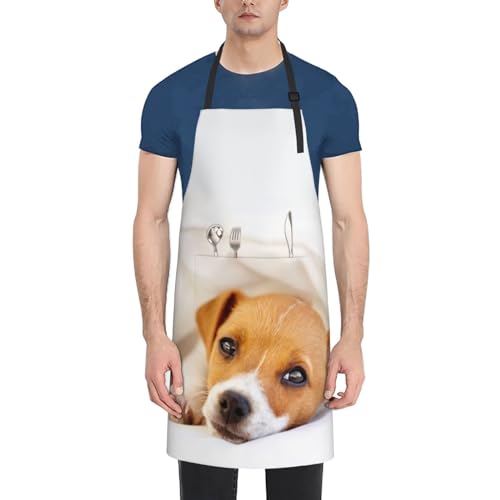 [RFSHOPWF] Gv  Č h  xg߉\ |Pbgt VɂȂɂ ƒp K[fjO JtF G |ȂǂɓKp jp