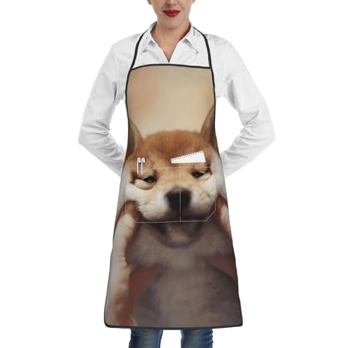 [Chioee] Gv Č ʔ Ck  킢  p | |Pbgt lC ۈm lGv h~ VɂȂɂ ƒAƁAAo[xL[AOɍœK APN198ES