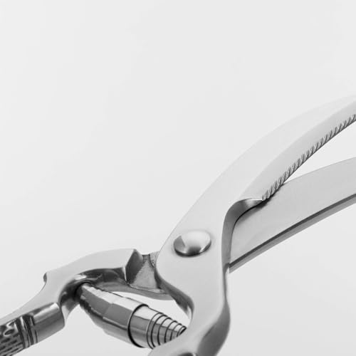 Foto von Westmark Geflügelschere, Federmechanismus, Schneidklingenlänge: 7 cm, Rostfreier Edelstahl, Poliert, Classic, Silber, 13712260