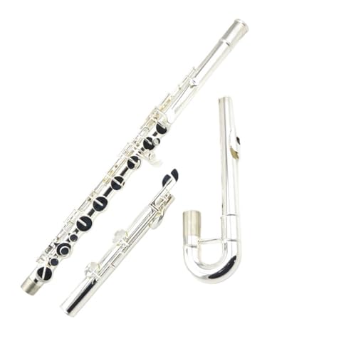 S t[g oXt[gC{fBt[gATuቹy