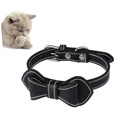 iplusmile L   { X^C O   ߉\ hJ