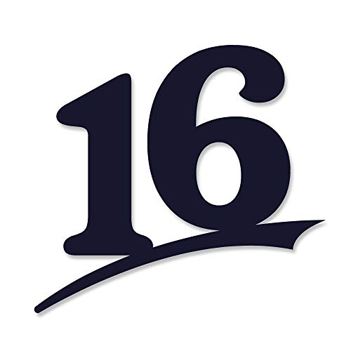 Hausnummer anthrazit ral 7016 / schwarz/weiß - Nummer 16 (2-Ziffern) Buchstaben 16cm Zahlen Türschild/Hausnummer-Schild, Hausnummernschild modern Hausnummer/in XXL mit große Zahlen Cover