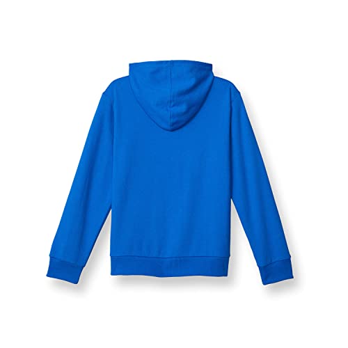 Champion Big, Kids' Full Zip-Up Hoodie, Hooded Sweatshirt For Boys, Bozzetto Blue #TOP1