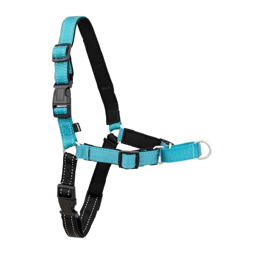 PetSafe Deluxe Easy Walk Harness - Trainer-Trusted Dog Chest Harness with Breathable Martingale Loop Design - Helps Stop Pulling with No Choking & Gagging - Large - Ocean