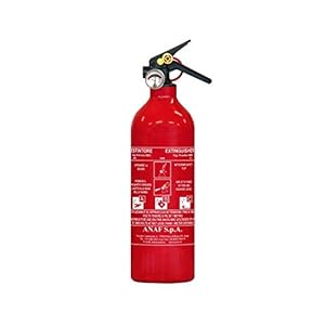 Extintor de 1 kg en polvo ABC con s...