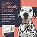 Oncotect Premium Dog Cancer Screening Test Kit – Non-Invasive, at-Home Urine Test for General Wellness Insights – Suitable for All Breeds and Ages