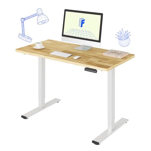 FLEXISPOT E3 Dual Motor Adjustable Standing Desk