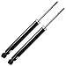 Both (2) Rear Driver & Passenger Side Shock Absorber Set for 2004-2010 BMW X3
