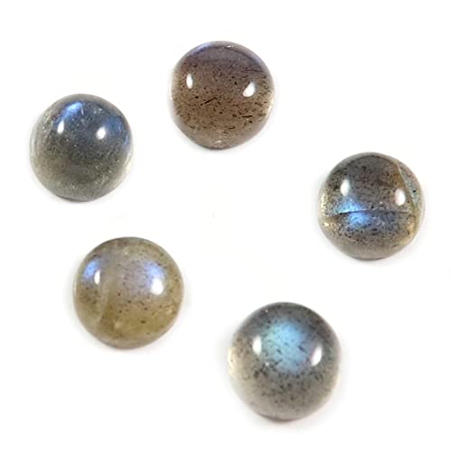 Arwacraft ���u���h���C�g �J�{�V���� �V�R��� 5�� �������b�g 3.3�J���b�g Gtc105-B09LVJCJMRNAMZ