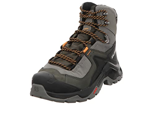 SALOMON Shoes Quest Element GTX, Botas Hombre, Pewter/Beluga/Buckskin, 42 EU