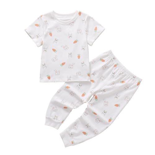 Ukyzddio Kids Cotton Pajamas Sets Carrot Bunny Pjs Jammies Short Sleeve Top with Long John Toddler Snug Fit 2 Piece Sleepwear Size 6T