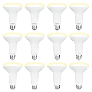 DEGNJU 12 Pack BR30 LED Recessed Light Bulb, Dimmable Indoor Flood Light Bulbs CRI80 7W Equivalent 65W 2700K Soft White 650 Lumens, 15000 Lifetime Hours E26 Base LED Can Light Bulb, Flicker-Free