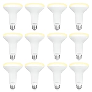 12 Pack BR30 LED Recessed Light Bulb Dimmable Indoor Flood Light Bulbs CRI80 7W Equivalent 65W 2700K Soft White 650 Lumens 15000 Lifetime Hours E26 Base LED Can Light Bulb Flicker Free