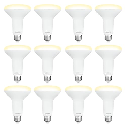 DEGNJU 12 Pack BR30 LED Recessed Light Bulb, Dimmable Indoor Flood Light Bulbs CRI80 7W Equivalent 65W 2700K Soft White 650 Lumens, 15000 Lifetime Hours E26 Base LED Can Light Bulb, Flicker-Free by DEGNJU - Used condition - US$15.44