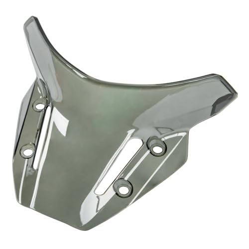 Accessoires Écran Déflecteur FZ09 Finition Premium Premium - 7