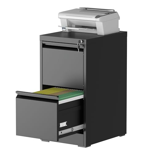 2-Drawer Lockable Steel File Cabinet for Office