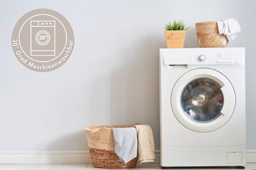 andiamo Fußmatte Samson Türmatte Sauberlaufmatte für Innen- und überdachter Außenbereich waschbar mit rutschfester Unterseite 40 x 60 cm beige