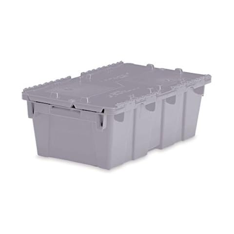 CeilBlue Medium Storage Tote with Lid 19.7" L x 11.8" W x 7.3" H - Gray Cover