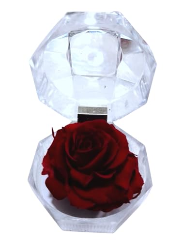 Genérico Rosa Eterna ROJA en joyero. Regalo Original. Rosa ROJA preservada. Rosa ROJA Natural preservada. Decoración Elegante. Regaslo Enamorados, cumpleaños, Aniversario, Dia de la Madre.