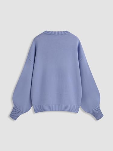 Image of CIDER Women's Goose Graphic Sweater Cute Knit Chunky Cropped Sweater Pullover Tops