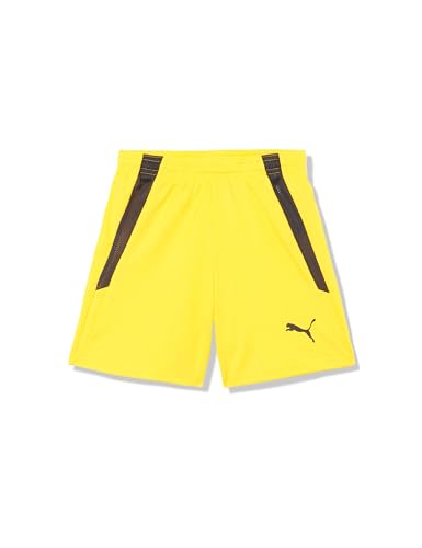PUMA Boys' Teamliga Shorts