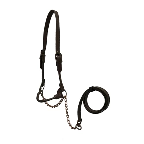 Derby Originals Bronze Beauty Premium Round Rolled Leather Cattle Show Halter with Matching Chain Lead
