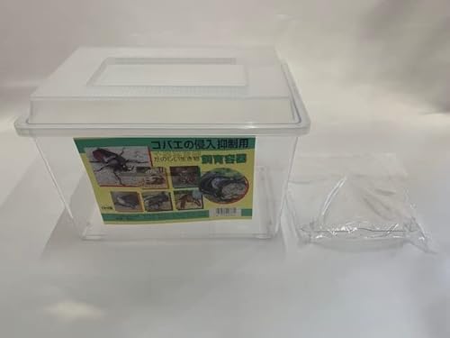 yDDAzY P[X dda NK^ JugV  P[X ώ@ RoG ΍ (P[X)