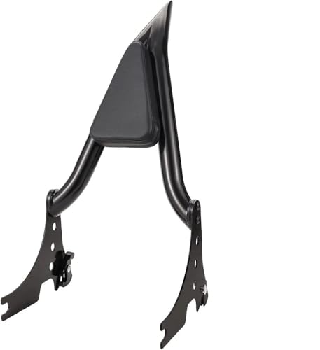 Coussin Siège Moto pour Escapades en Duo et Confort Passager Arrière sur Sportster 48 72