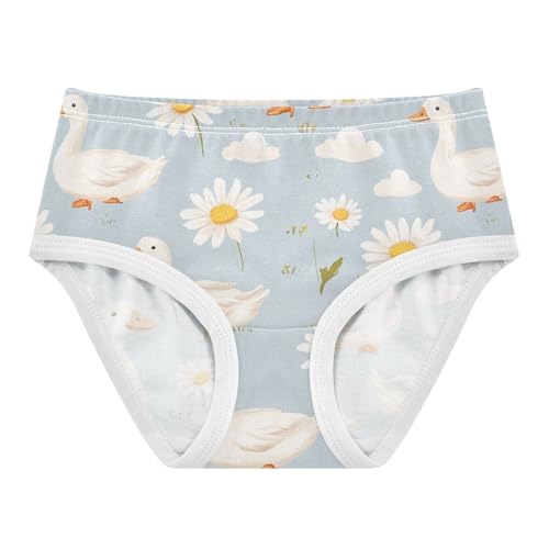 Wusikd Ducks Cloud Girls' Underwear Cotton Daisy Girls Briefs Soft Toddler Underwears 2T